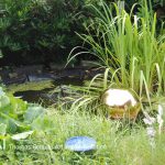 golden-pond-ball-150x150.jpg